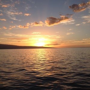 Meet your Posher, Michele